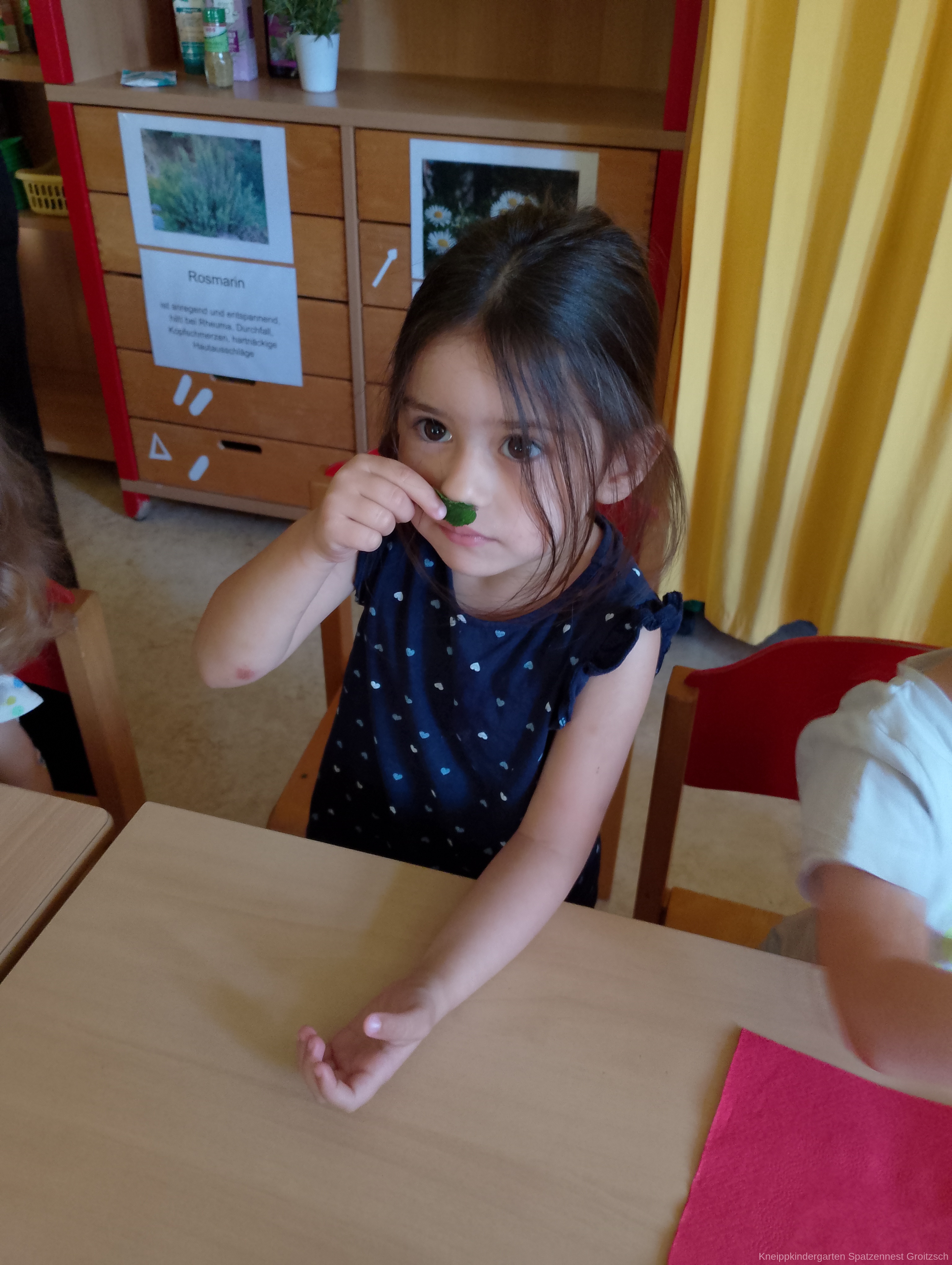 IMG 20260908 081626