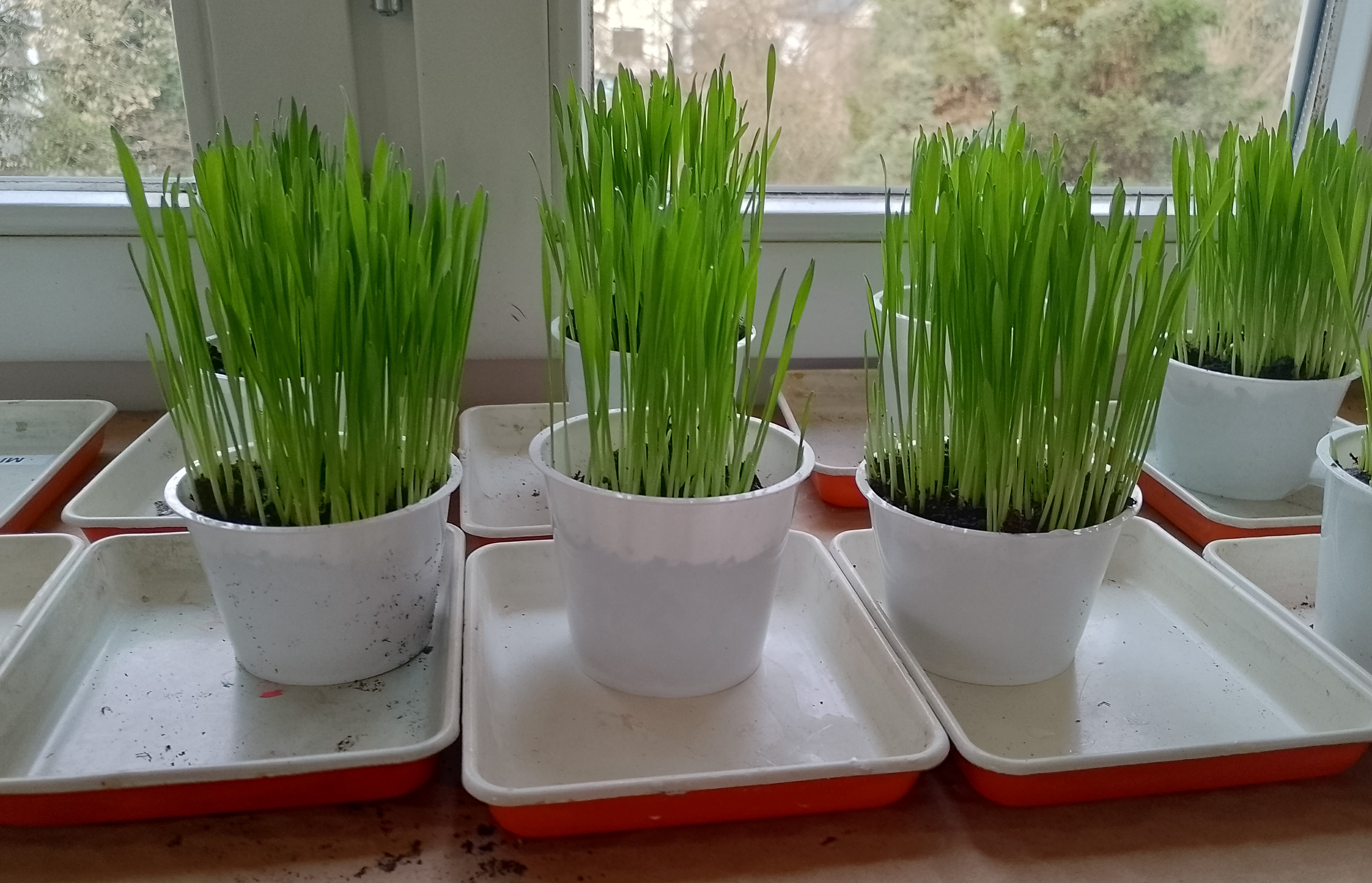 IMG 20231129 092434 HDR