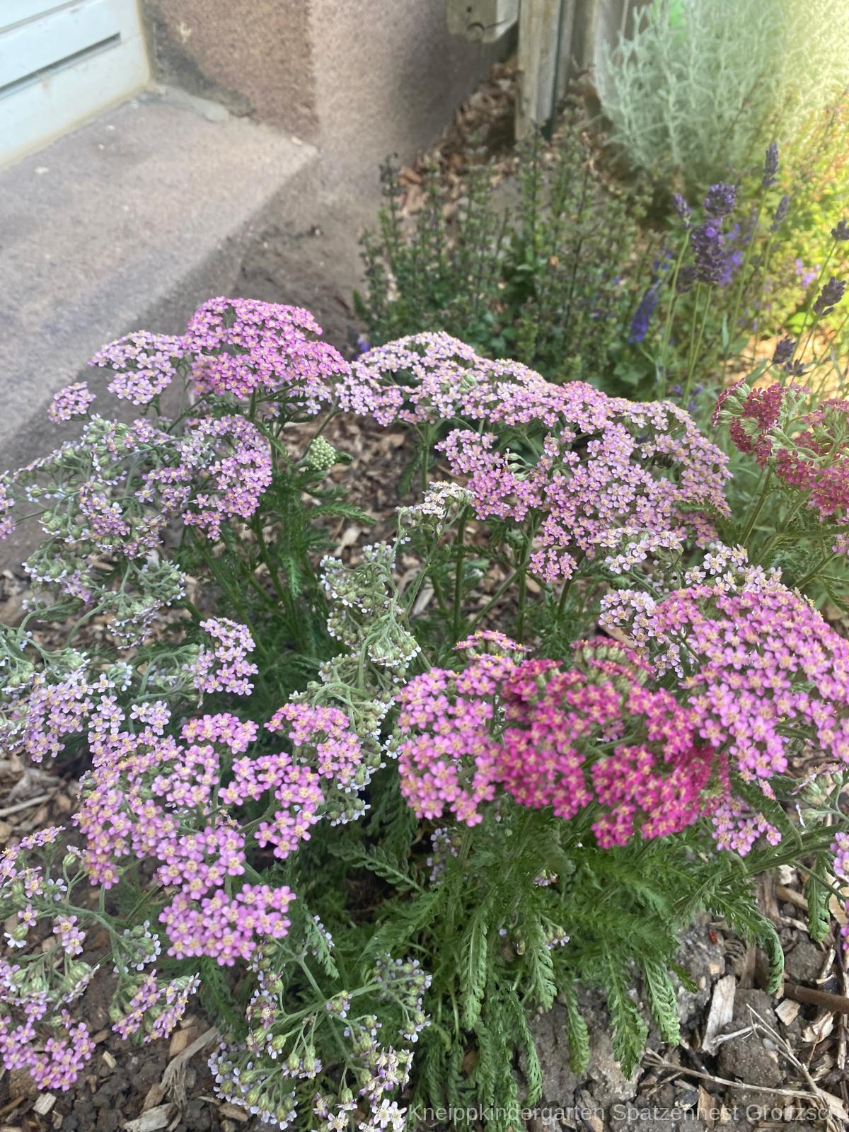 PHOTO 2026 08 18 14 29 091