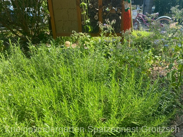 PHOTO 2026 08 18 14 29 097